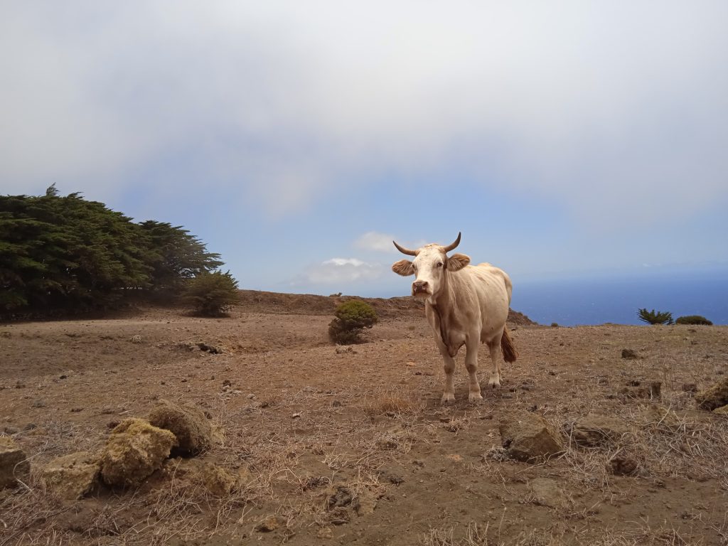 IMG_20240629_153424-1